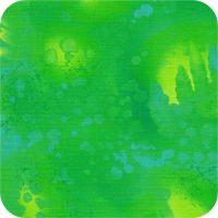 528 76 Grass Fossil Fern FQ